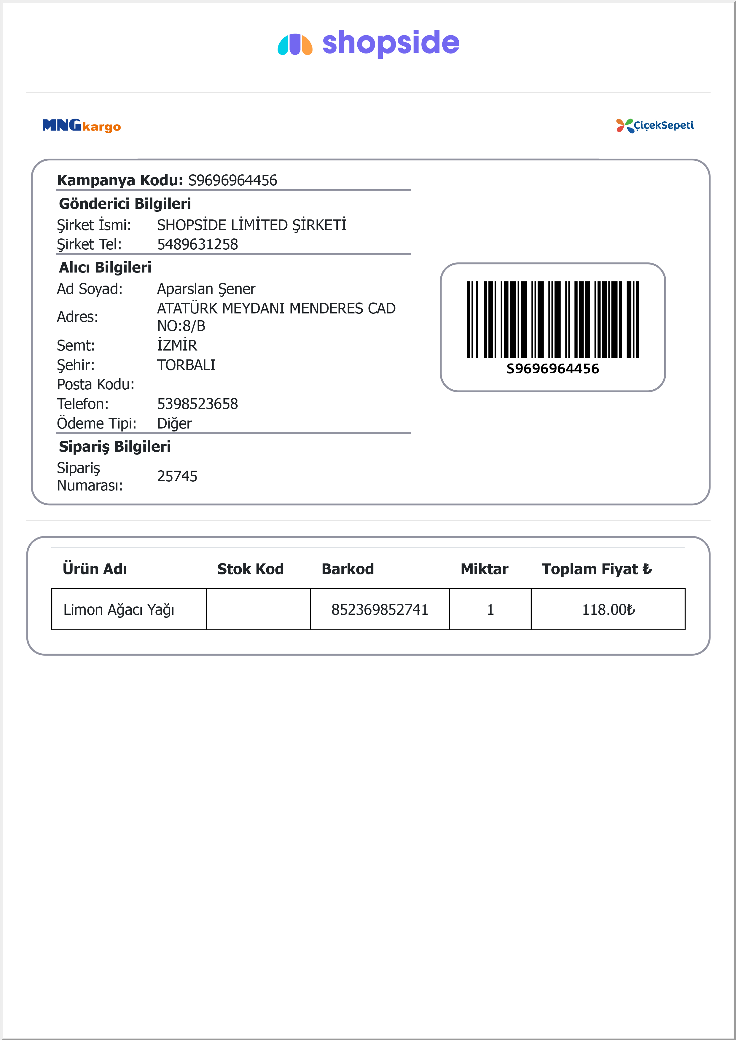 dummy invoice